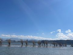 -洱海月湿地公园