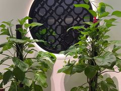 -科力淮扬村(广安门店)