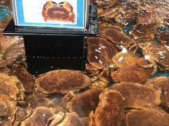 -盒马鲜生(曜一城店)
