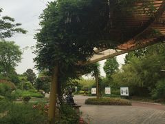 -日照海滨国家森林公园