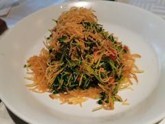 巧拌豆苗-四季民福烤鸭店(王府井灯市口店)