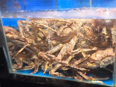 -徐记海鲜(大明宫|北二环店)