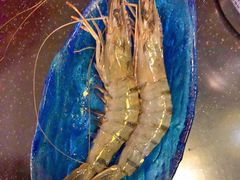 -蓝钻·国际美食海鲜自助百汇(西直门店)