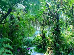 -东莞植物园