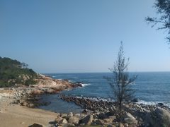 -广东惠东海龟国家级自然保护区