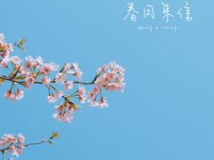 -杭州植物园