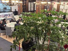 -高坎一品甲鱼庄(两河店)