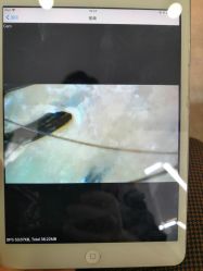 -蚂蚁造型沙龙
