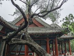 -莲池书院博物馆
