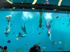 -瑞德姆美人鱼海底演艺主题餐厅(亚龙湾店)