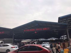 -菜园坝水果市场