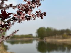 -马家湾湿地公园