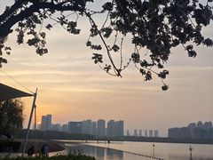 -天鹅湖体育公园