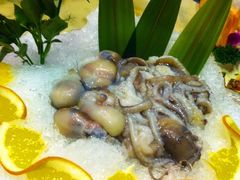 蓝海岸霞浦海鲜-渔傅·蓝海岸霞浦海鲜(正祥店)
