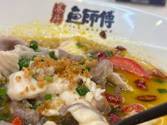-港升鱼师傅·中山脆肉鲩