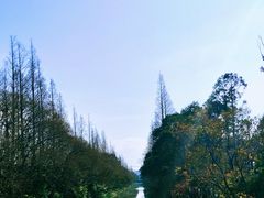 -上海长兴岛郊野公园