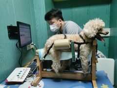 -严国平动物医院(德政总院)