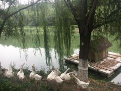 -北京张裕爱斐堡酒庄