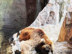-珠海长隆海洋王国