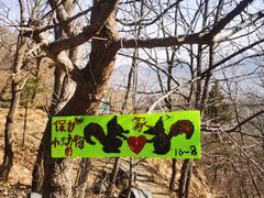 -北京鹫峰国家森林公园