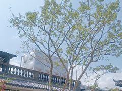 -中山市绿华园食府