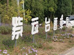 -紫云台香草园