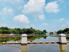 -映月湖公园