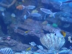 -重庆欢乐海底世界
