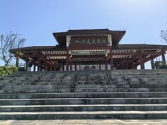 -大湾区中央湿地公园