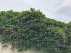 -东方绿舟景区
