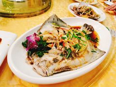 清蒸多宝鱼-1910老鲁味海鲜·戳子肉·青岛菜(金沙滩店)
