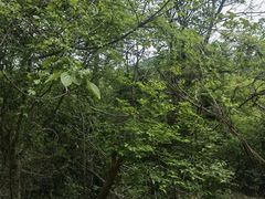 -敬亭山风景名胜区