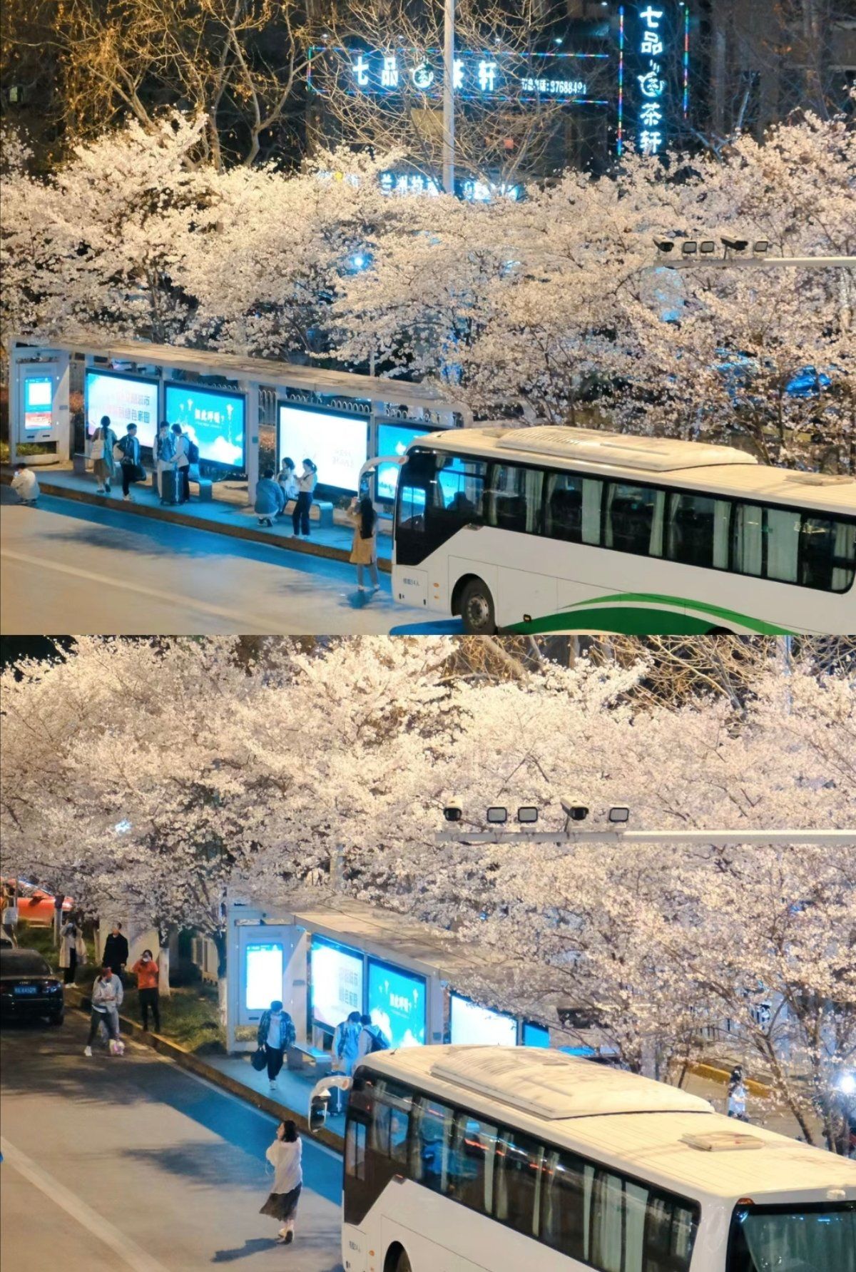 最美公交站