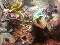 -成都浩海立方海洋公园