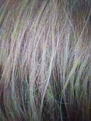 -一東造型烫发染发