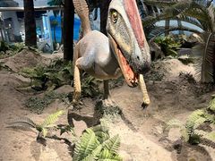 -辽宁古生物博物馆
