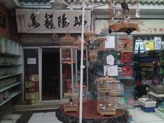 -武汉花鸟市场