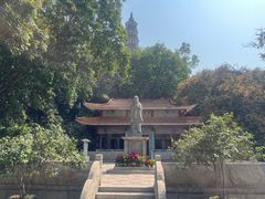 -顺峰山公园