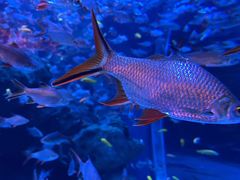 -成都浩海立方海洋公园