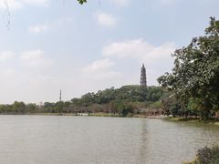 -顺峰山公园