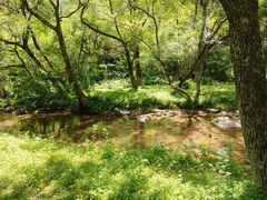 -大水川景区