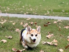 -西北湖绿化广场