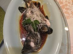 -龙泉海鲜酒楼(龙昆南路店)