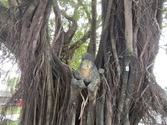 -人民公园(罗湖区)