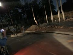 -清迈夜间动物园