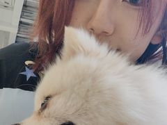 -怪兽屋·羊驼·猫咖·狗咖(俊华广场店)