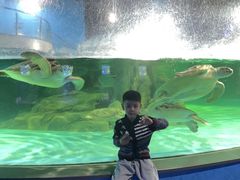 -常州海昌海洋探索馆
