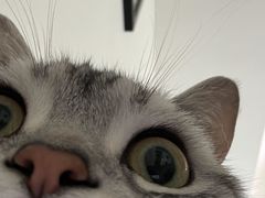 -天津市第一殡仪馆