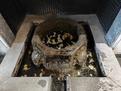 -湖畔鲁菜·二十年老字号餐厅(大明湖店)