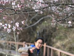 -叠溪松坪沟景区